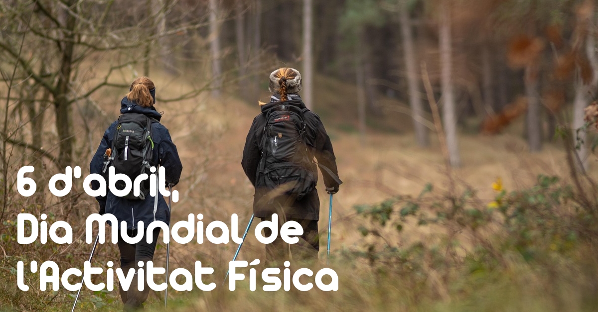 Dia Mundial de lActivitat Fsica