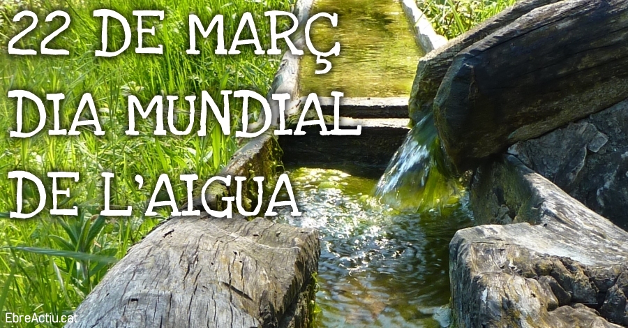 D�a Mundial del Agua
