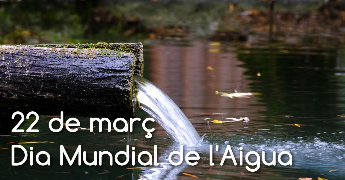 dia mundial de l&rsquo;Aigua