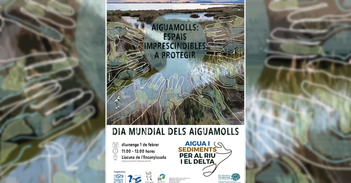 Aiguamolls: espais imprescindibles a protegir. Dia mundial dels aiguamolls