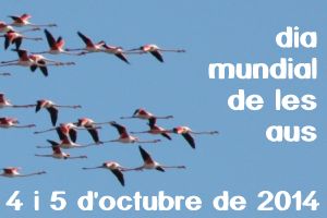 Dia mundial de les aus Dia mundial de les aus