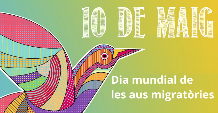 Dia mundial de les aus migrat�ries 2019
