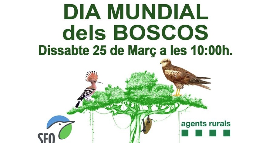 Celebraci� del Dia Mundial dels Boscos