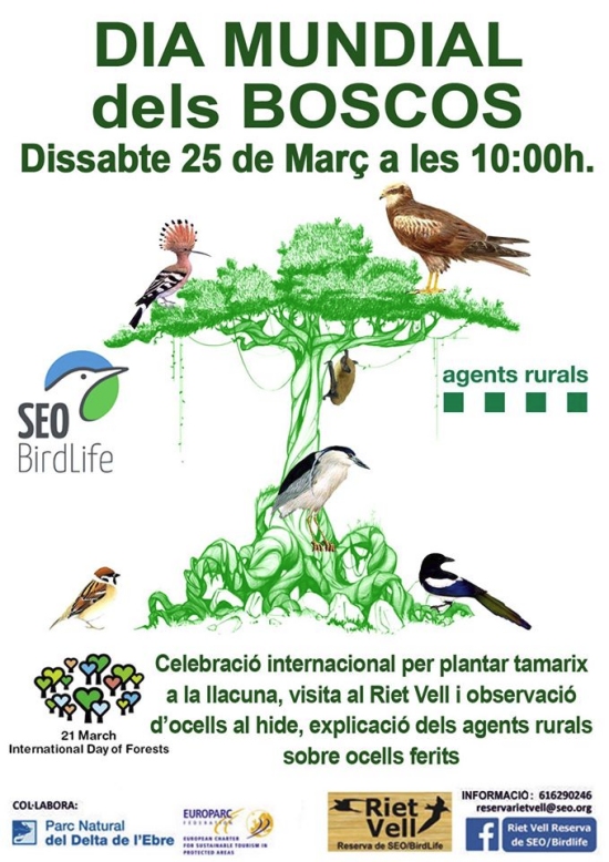 Celebraci� del Dia Mundial dels Boscos
