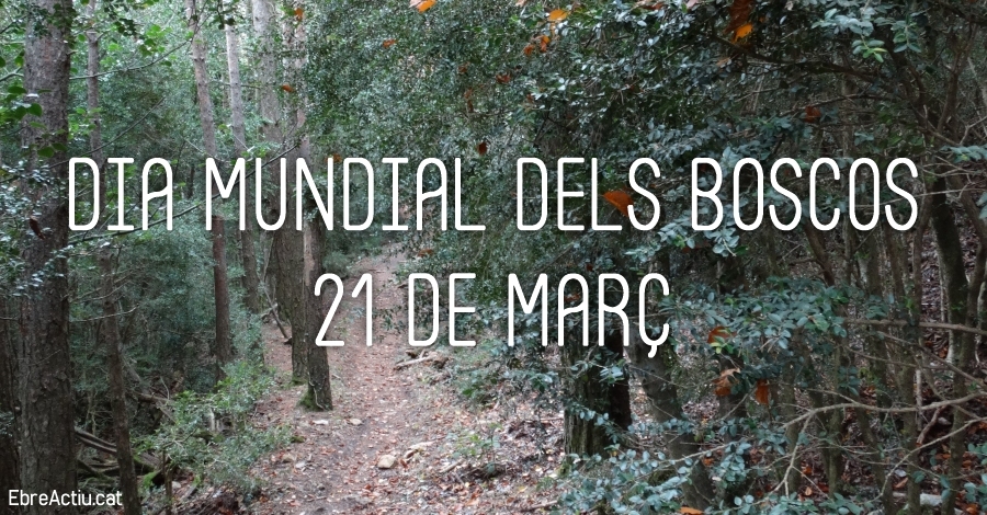 D�a Mundial de los Bosques 2019