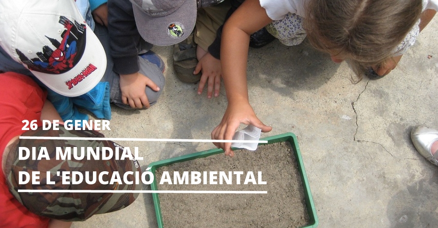 Dia Mundial de l&rsquo;Educaci� Ambiental