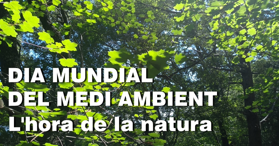 Videoconferencia: Stop pl�sticos. �Continuas comprando garrafas de agua?