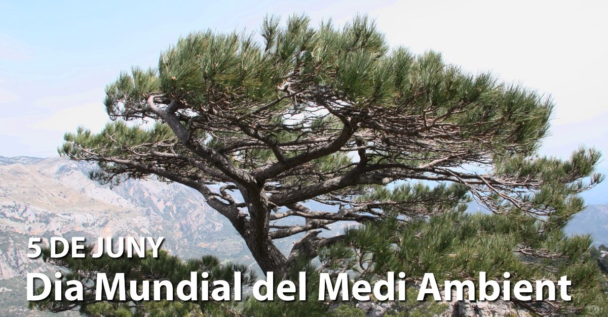 5 de junio, D�a Mundial del Medio Ambiente