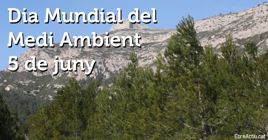 Dia Mundial del Medi Ambient 2019 Dia Mundial del Medi Ambient 2019