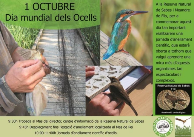 Dia Mundial dels Ocells. Jornada d�anellament cient�fic d�ocells