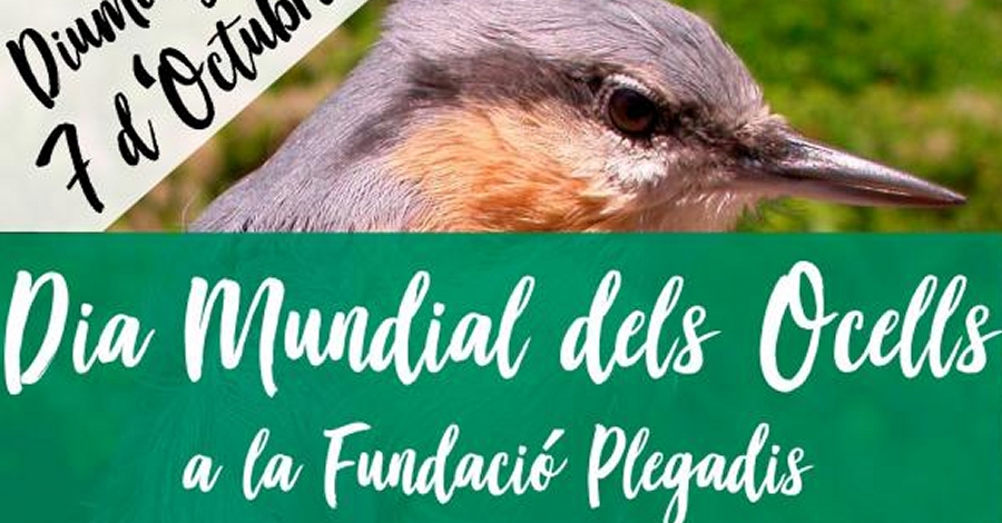 Dia Mundial dels Ocells a la Fundaci� Plegadis