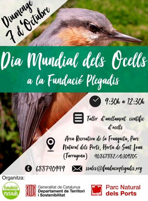 Dia Mundial dels Ocells a la Fundació Plegadis Dia Mundial dels Ocells a la Fundació Plegadis