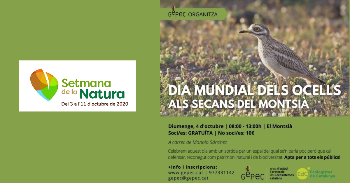 Dia mundial de los p�jaros de secano en el Montsi�. Setmana de la Natura