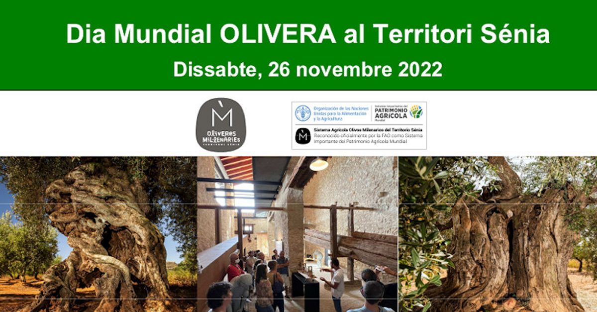 D�a Mundial del Olivo al Territorio S�nia