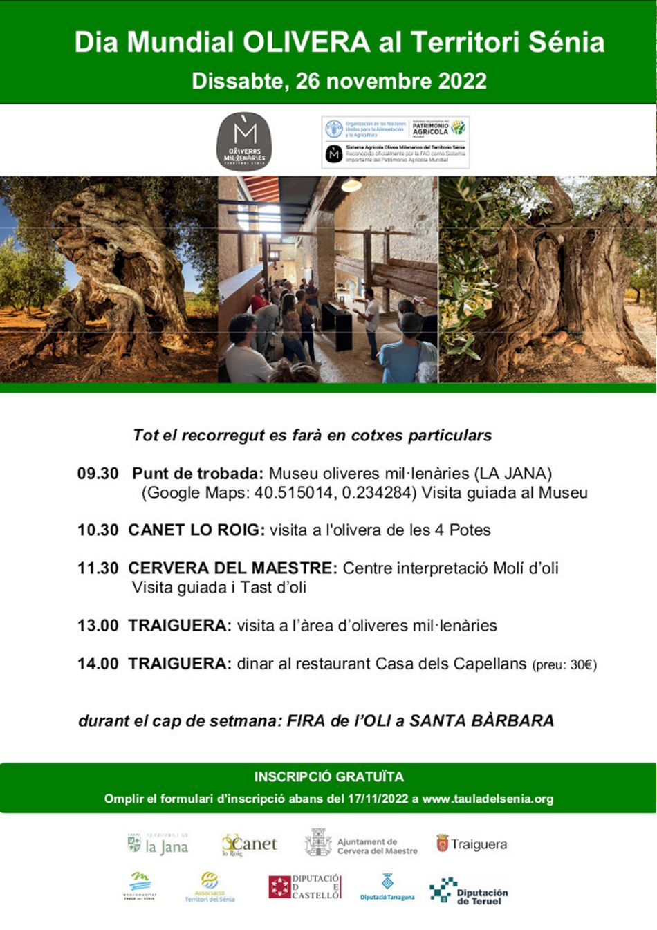 Dia Mundial de l’Olivera al Territori Sénia Dia Mundial de l’Olivera al Territori Sénia