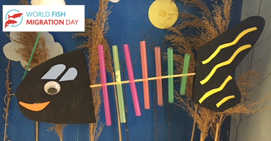 Actividades para el D�a Mundial del Pez Migrador 2018