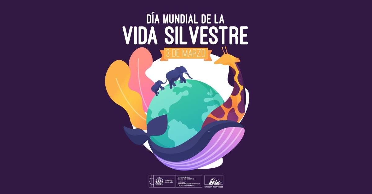 Dia Mundial de la Vida Silvestre Dia Mundial de la Vida Silvestre