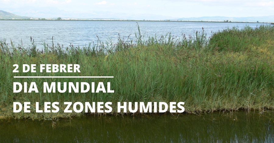 Salida en bicicleta para descobrir los Ullals de Baltasar (D�a Mundial de las Zonas H�medas)