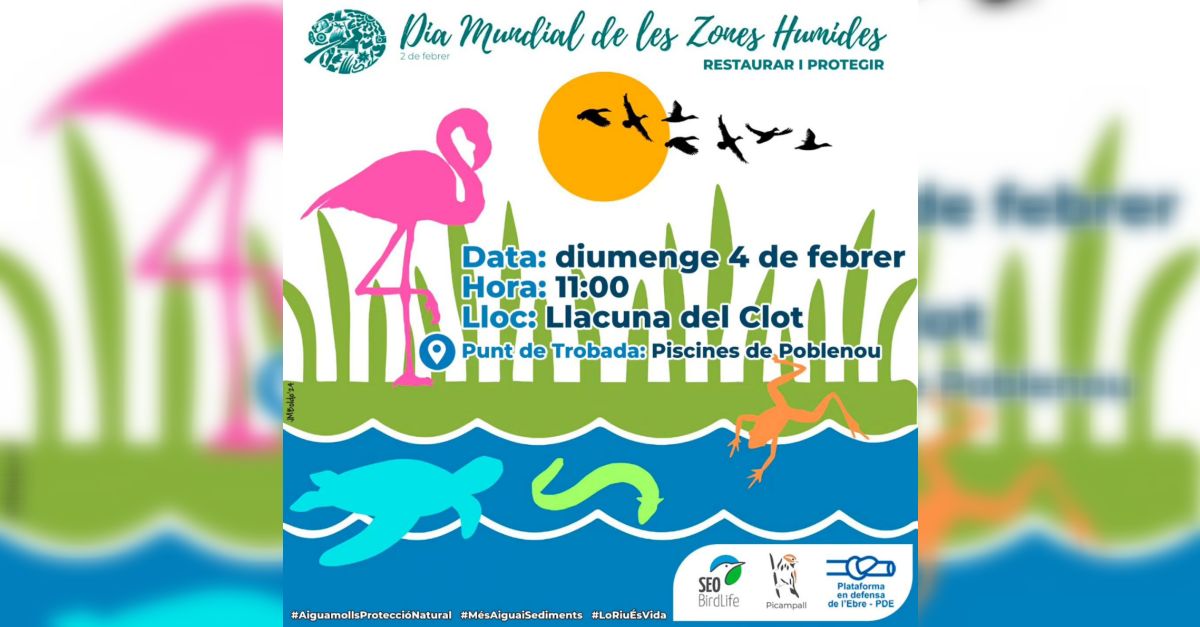 D�a Mundial de las Zonas H�medas 2024