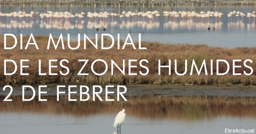 Dia Mundial de les Zones Humides 2019