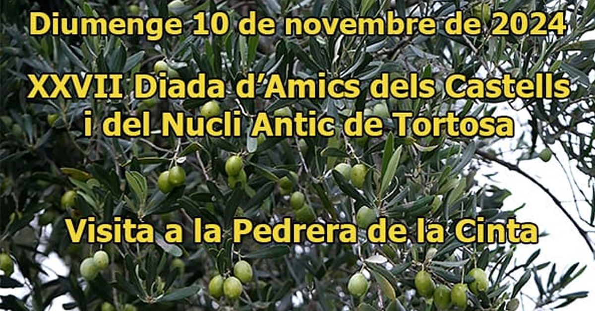 XXVII Diada d�Amics dels Castells i del Nucli Antic de Tortosa