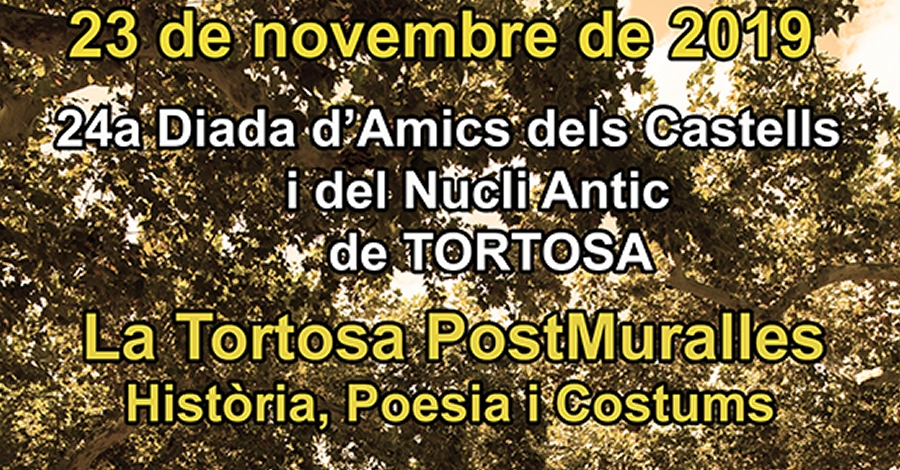 24a Diada d�Amics dels Castells i del Nucli Antic de Tortosa
