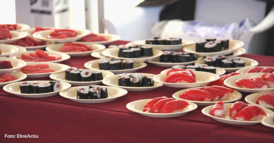 El atún rojo, producto estrella de la Ametlla de Mar | EbreActiu.cat, revista digital de ocio activo | Terres de l’Ebre... El atún rojo, producto estrella de la Ametlla de Mar | EbreActiu.cat, revista digital de ocio activo | Terres de l’Ebre...