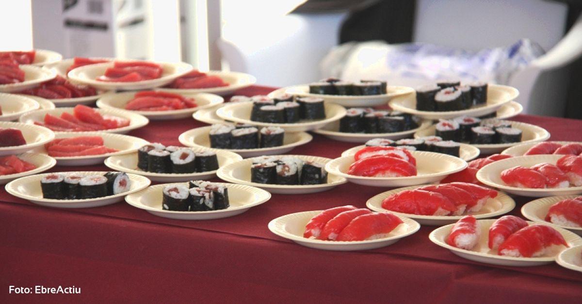 Diada de la Tonyina Roja Diada de la Tonyina Roja