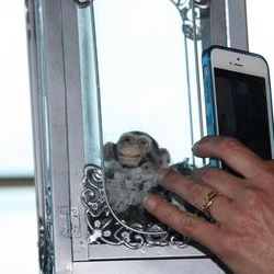 Celebrada la segona edici� del Vermouth Rapitenc