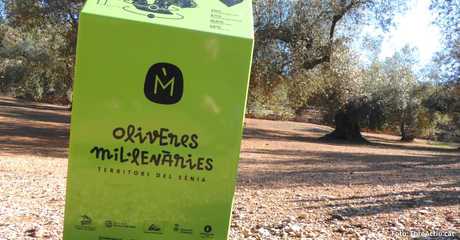 Eurodiputats demanen a la Comissi Europea la protecci de les Oliveres Millenries del Territori Snia