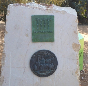 Eurodiputats demanen a la Comissi� Europea la protecci� de les Oliveres Mil�len�ries del Territori S�nia | EbreActiu.cat, revista digital d&rsquo;oci actiu | Terres de l&rsquo;Ebre ...