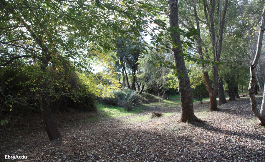 Masdenverge | EbreActiu.cat, revista digital d&rsquo;oci actiu | Terres de l&rsquo;Ebre ...