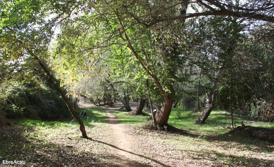 Masdenverge | EbreActiu.cat, revista digital d&rsquo;oci actiu | Terres de l&rsquo;Ebre ...