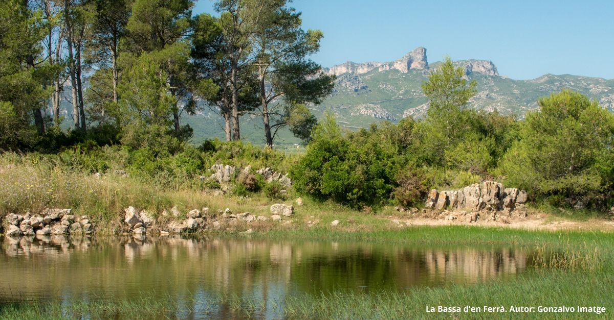 El Perelló, mucho por disfrutar | EbreActiu.cat, revista digital de ocio activo | Terres de l’Ebre... El Perelló, mucho por disfrutar | EbreActiu.cat, revista digital de ocio activo | Terres de l’Ebre...