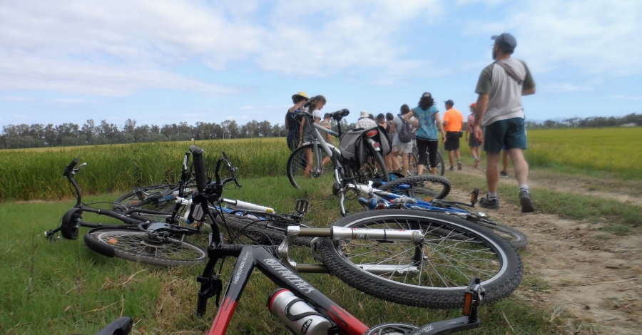 Sant Jaume d’Enveja | EbreActiu.cat, revista digital d’oci actiu | Terres de l’Ebre ... Sant Jaume d’Enveja | EbreActiu.cat, revista digital d’oci actiu | Terres de l’Ebre ...