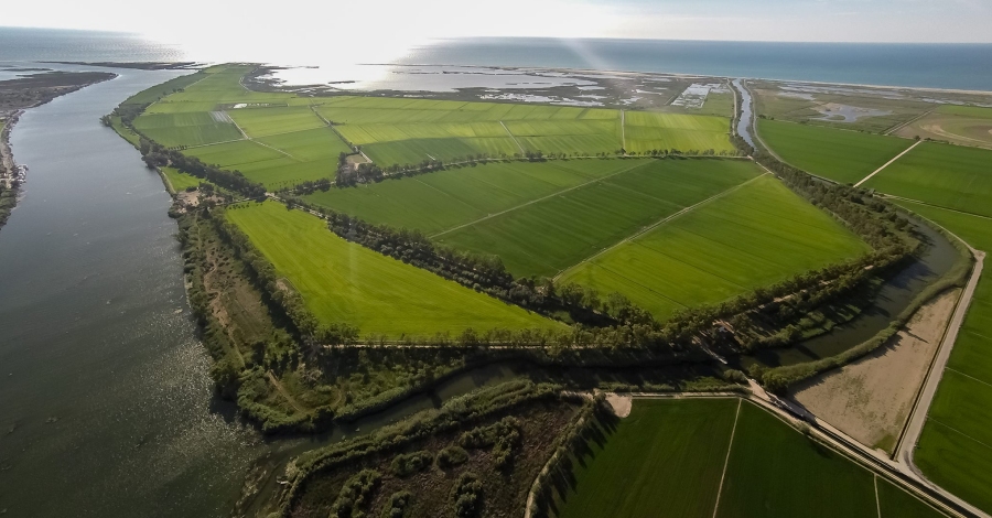 Sant Jaume d’Enveja | EbreActiu.cat, revista digital de ocio activo | Terres de l’Ebre... Sant Jaume d’Enveja | EbreActiu.cat, revista digital de ocio activo | Terres de l’Ebre...