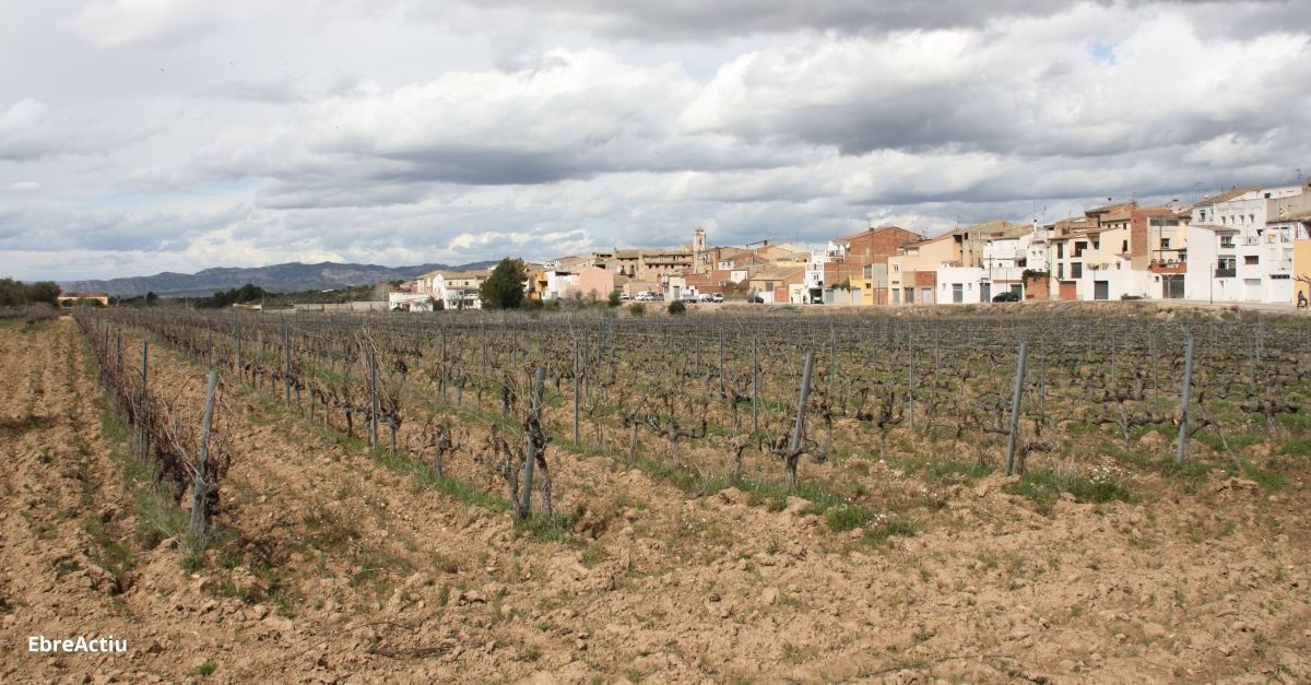 La DO Tarragona ultima la creaci d’una ruta per potenciar els seus vins i l’enoturisme | EbreActiu.cat, revista digital d’oci actiu | Terres de l’Ebre ...