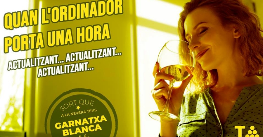 Nova campanya dimatge de la Denominaci dOrigen Terra Alta