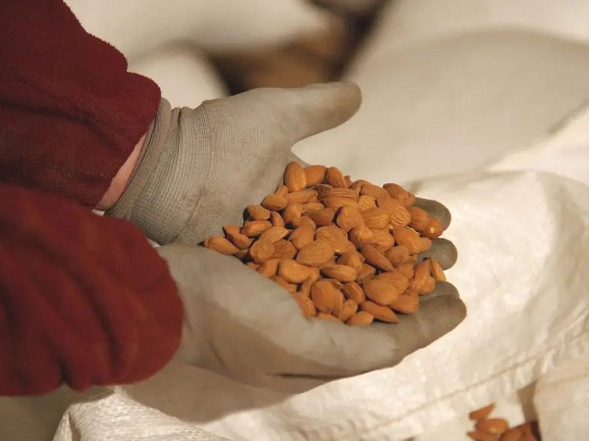 A l’Alt Maestrat també es menja dolç | EbreActiu.cat, revista digital d’oci actiu | Terres de l’Ebre ... A l’Alt Maestrat també es menja dolç | EbreActiu.cat, revista digital d’oci actiu | Terres de l’Ebre ...