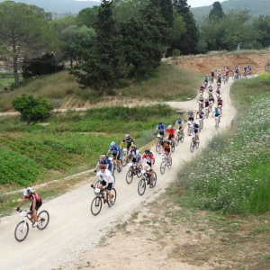 �lbum: 6� duextrem - Montbike Amposta (8/6/2014)