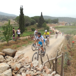 �lbum: 6� duextrem - Montbike Amposta (8/6/2014)