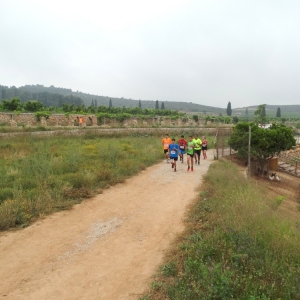�lbum: 6� duextrem - Montbike Amposta (8/6/2014)