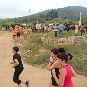 �lbum: 6� duextrem - Montbike Amposta (8/6/2014)