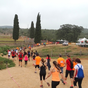 �lbum: 6� duextrem - Montbike Amposta (8/6/2014)