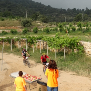 �lbum: 6� duextrem - Montbike Amposta (8/6/2014)