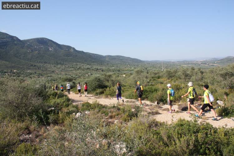 Prop de 700 participants al 7� Duextrem d&rsquo;Amposta | EbreActiu.cat, revista digital d&rsquo;oci actiu | Terres de l&rsquo;Ebre ...