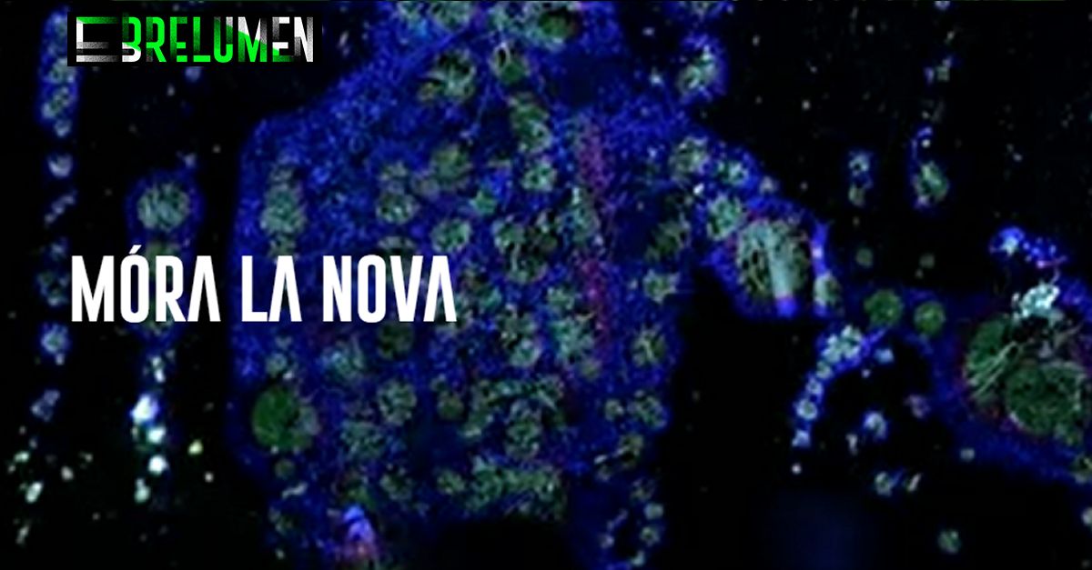 EbreLumen: Móra la Nova EbreLumen: Móra la Nova