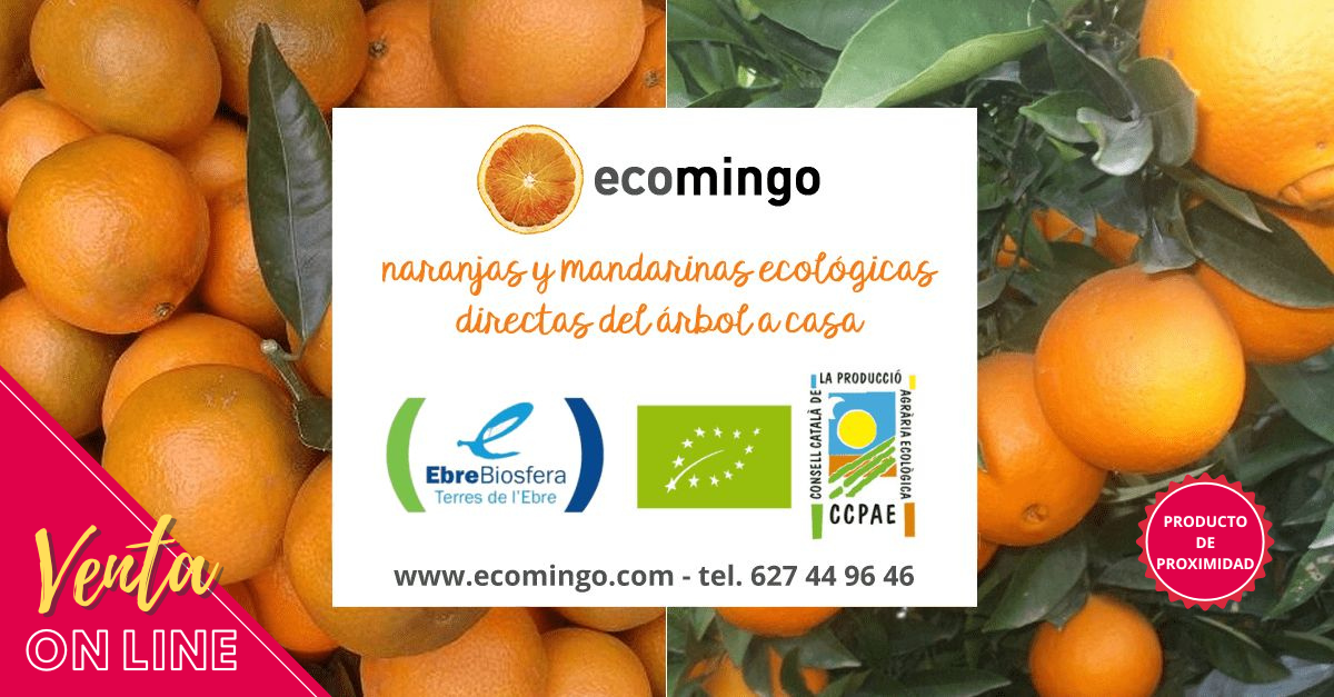 ECOMINGO. Naranjas y mandarinas ecolgicas del rbol a casa