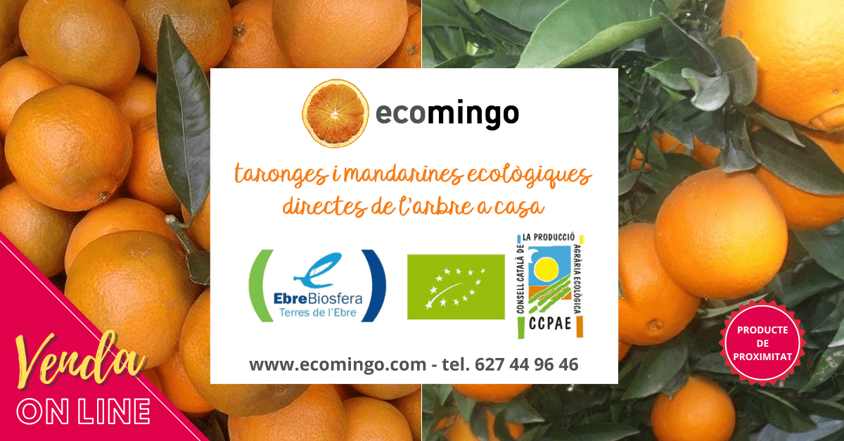 ECOMINGO. Taronges i mandarines ecolgiques de larbre a casa