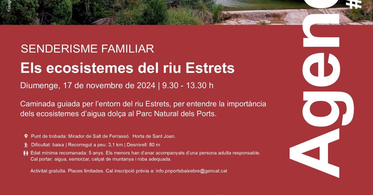 Els ecosistemes del riu Estrets Els ecosistemes del riu Estrets